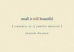 Small Is Still Beautiful : Economics as if Families Mattered