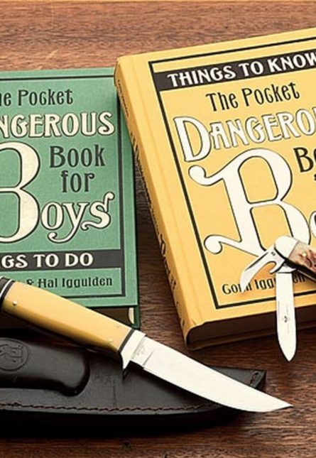 Dangerous Book for Boys Series