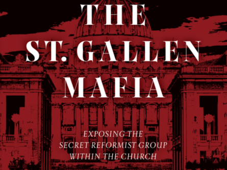 St Gallen Mafia by Julia Meloni
