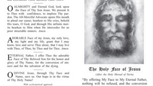 Holy Face of Jesus Prayer Card - The Founders Tradin Post