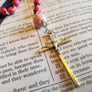 Hot Pink Howliet Rosary-2
