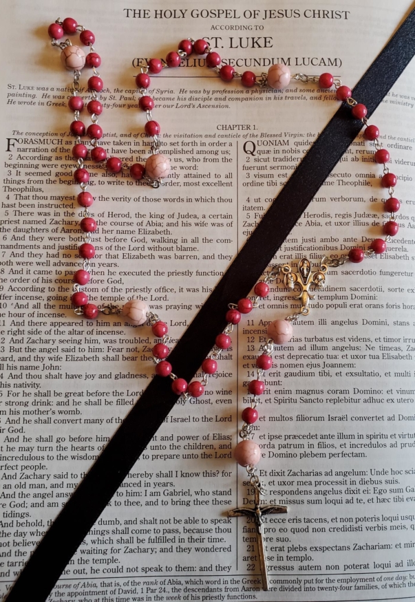 Hot Pink Howliet Rosary