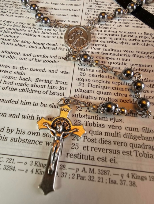 Stainless Steel Divine Mercy Rosary-1