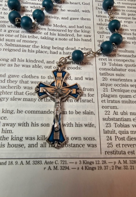 Teal Miraculous Medal Rosary-1
