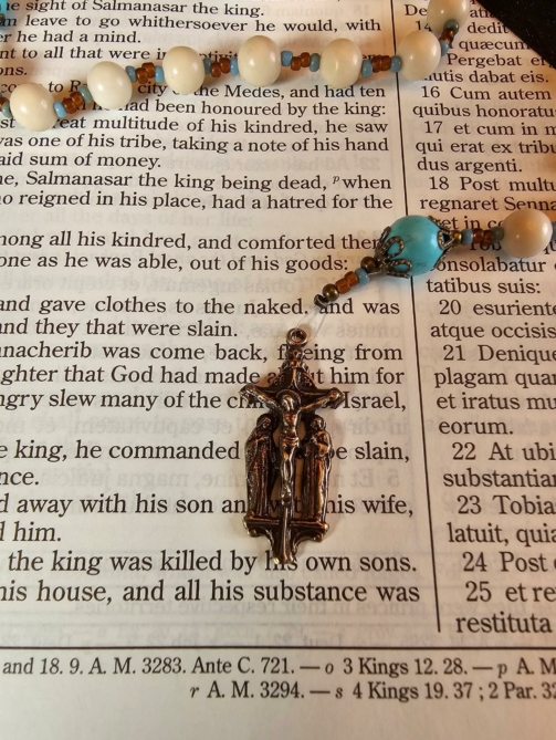 Turquoise & Amber Mary St John Rosary-1