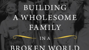 Building a Wholesome Family in a Broken World